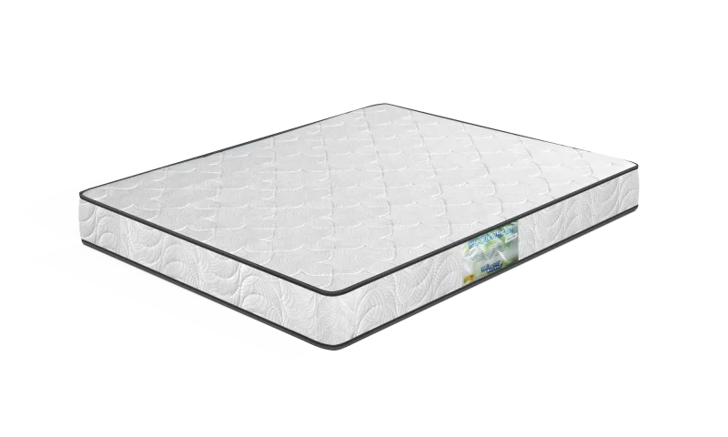 Modelo Ecodream